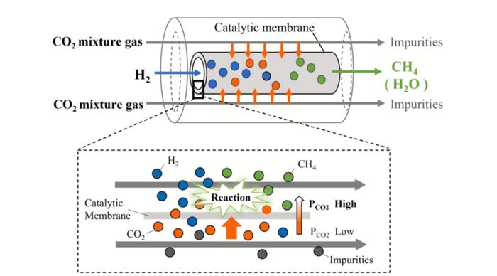 Schematic of the distributor-type membrane reactor for CO2 capture