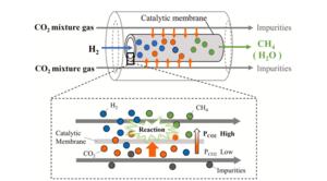 Schematic of the distributor-type membrane reactor for CO2 capture