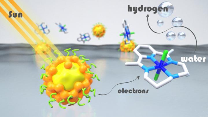 Artificial Photosynthesis Systems Chromophores