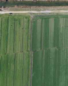 Drone image of ground offset of farm fields