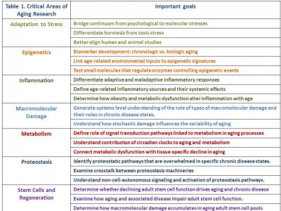 Research Strategy based on 'Seven Pillars of Aging'