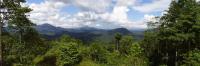 Borneo Rainforest (2 of 2)