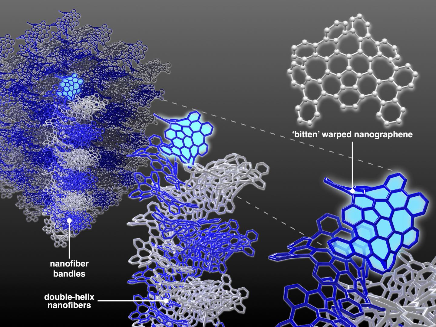 Carbon nanofibers