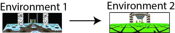 Virtual Reality Environments