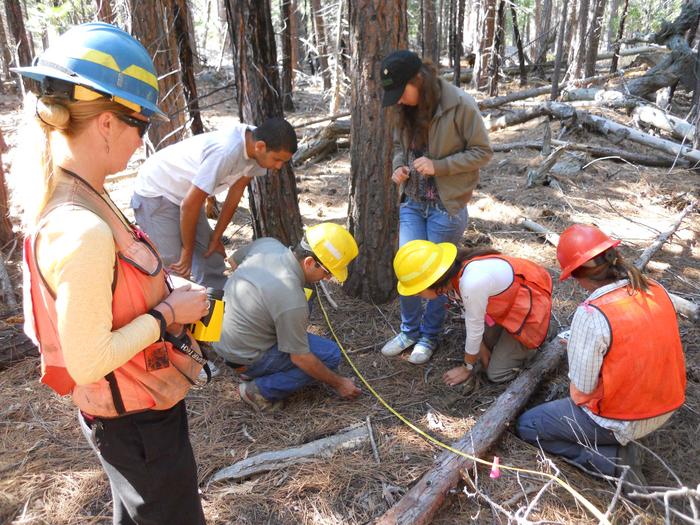 Field crew at Emerald Bay stand