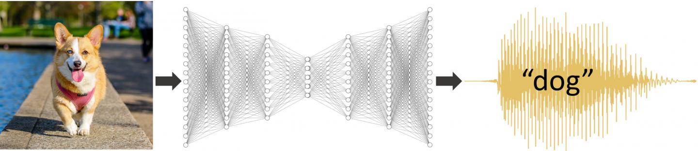 Deep Learning Networks Prefer the Human Voice--Just Like Us