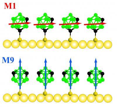 A New Family of Molecules for Self-Assembly: The Carboranes (1 of 2)