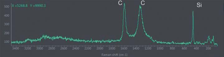 Presence of Carbon in Forminiferal Test