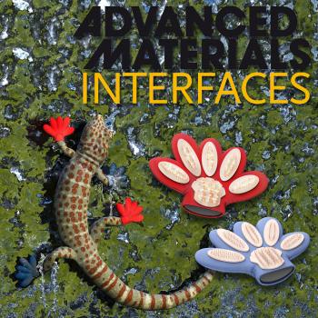 <i>Advance Materials</i> Cover