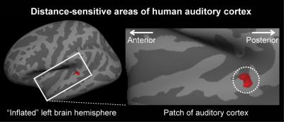 Distance-Sensitive Area of Human Auditory Cortex