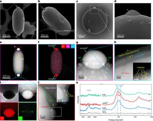 Characterizations of ULnpFe0 on extremities of impact glass beads