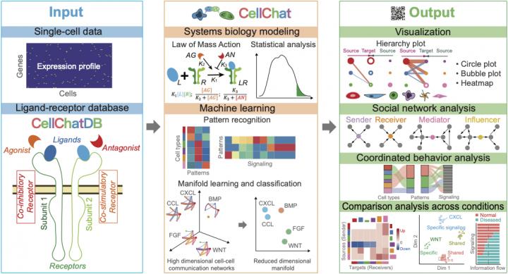 CellChat Overview