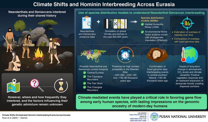 The influence of past climate shifts on hominin interbreeding across Eurasia