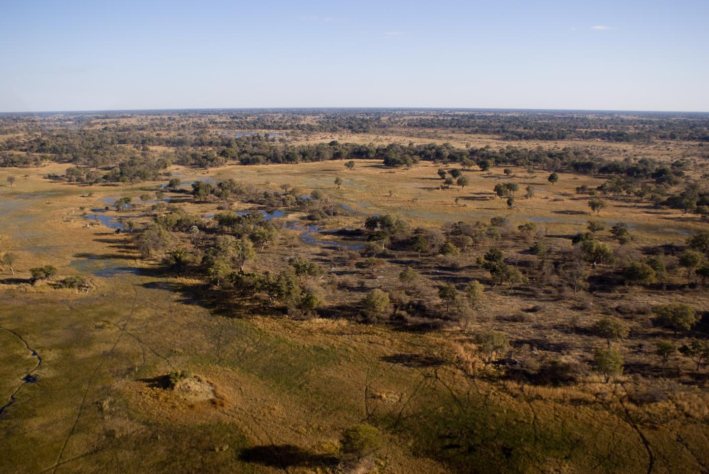 Okavango Delta, Botswana