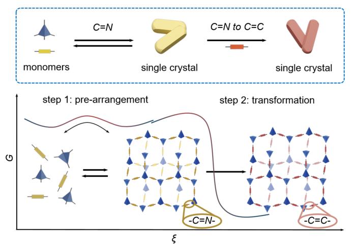 Imine-to-olefin transformation strategy to synthesize single-crystal sp²c-COFs