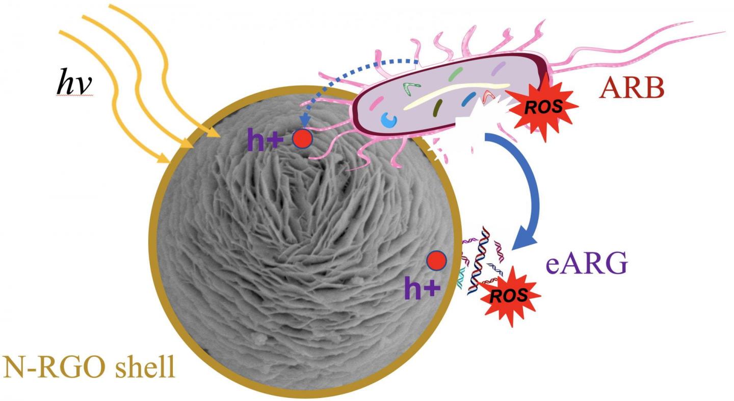 Wrapped Nanosphere Schematic