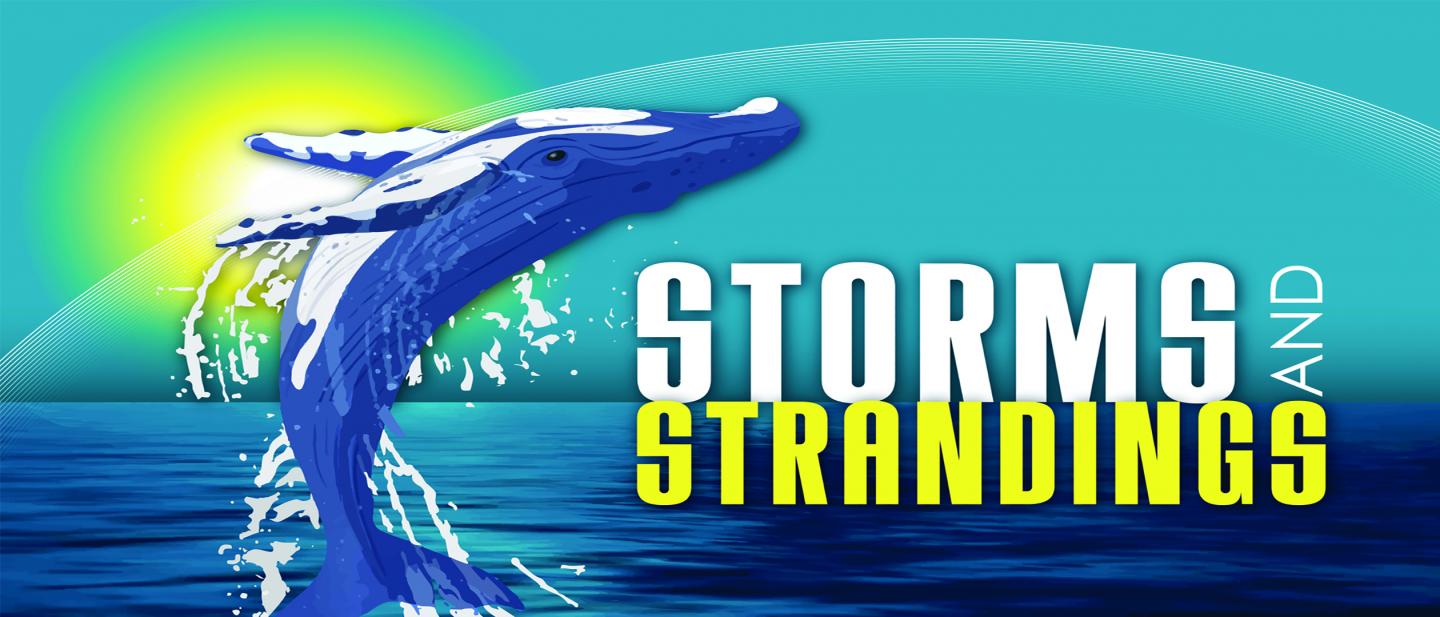 Whale Strandings and Solar Storms Banner
