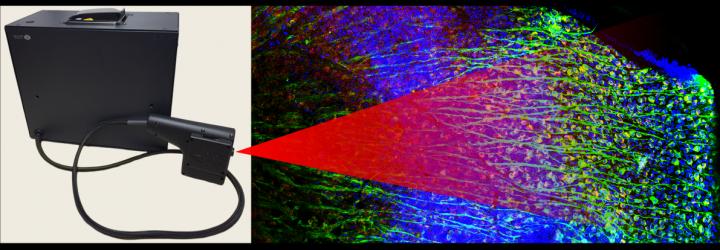 OCT-guided Laser microirradiation platform