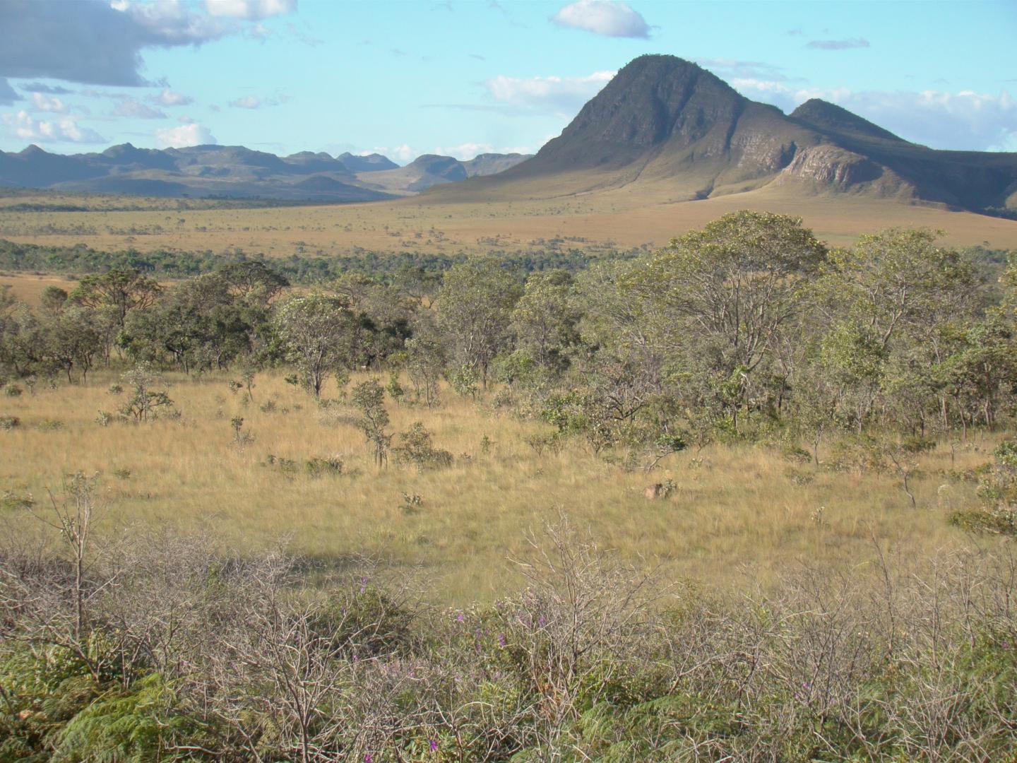 Conservation Strategies Are Not One-Size-Fits-All, in Tropical Savanna (1 of 6)