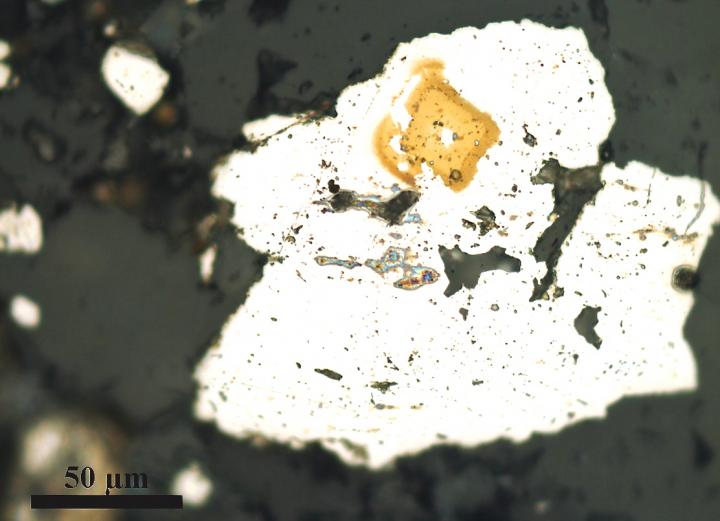Ancient Carbonate Rock Reveals Early Sulfur-Breathing Bacteria