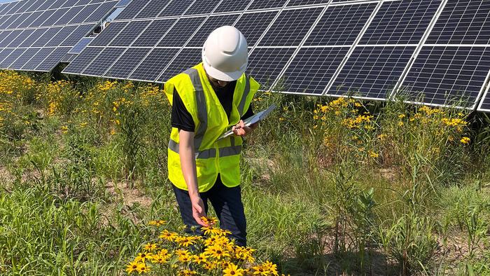 Scientist Searches For Pollinators