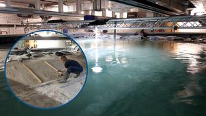 In the 6x11 meter flume tank, an artificial continental slope was recreated by hand. The circular photo shows first author Henriette Wilckens forming the slope from sediment. The water-filled tank can be seen in the background.