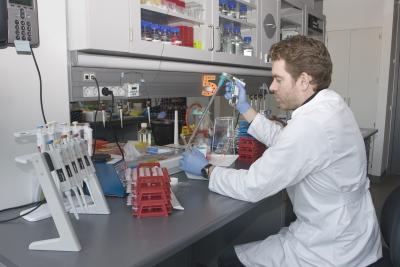 Work in the Laboratory