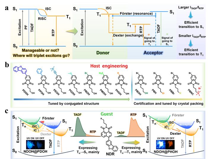 Figure 1| Proof of concept for management of triplet excitons.