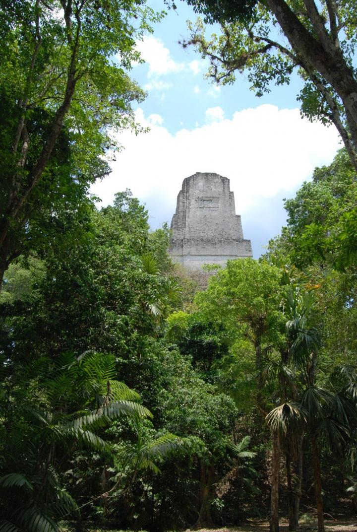 Tikal