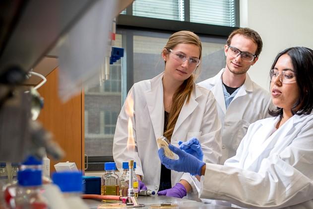 Quantum Dots Fight Superbugs