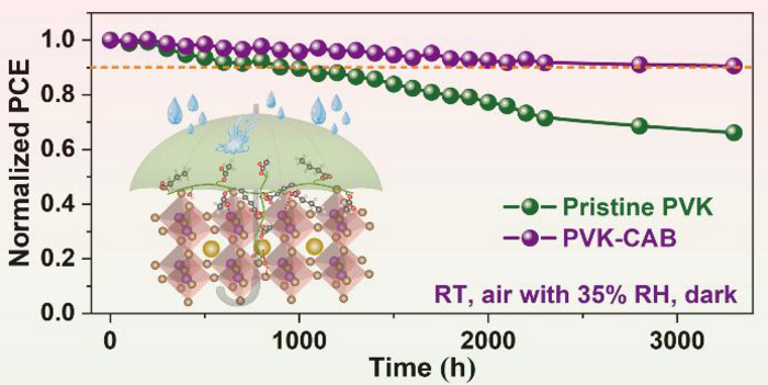 Enhancing the stability of planar perovskite solar cells by green and inexpensive cellulose acetate butyrate