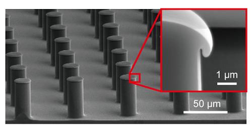 SEM Image of Mushroom-Shaped Structure