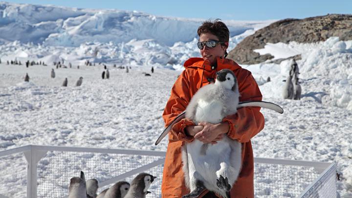 Stephanie Jenouvrier Holding Young Emperor Penguin