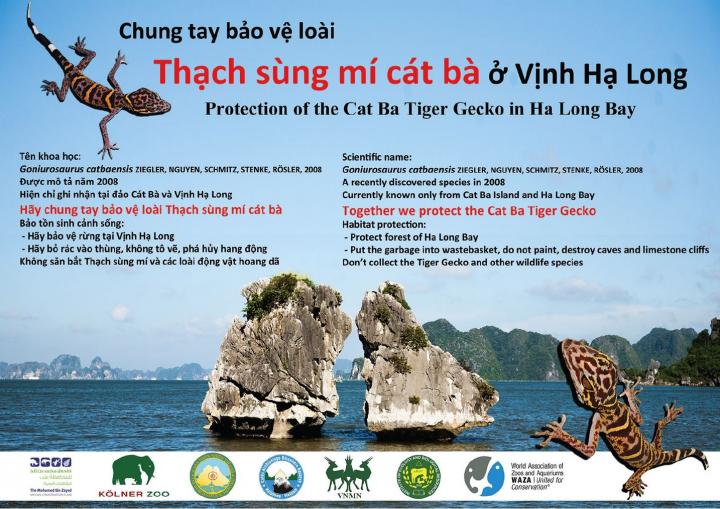 Protection of the Cat Ba Tiger Gecko in Ha Long Bay