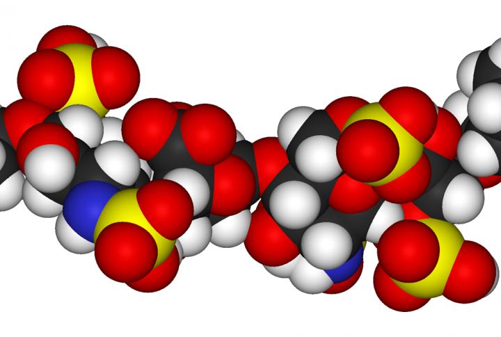 Synthetic Low Molecular Weight Heparin