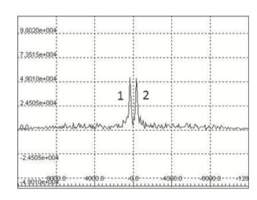 NMR Spectrum