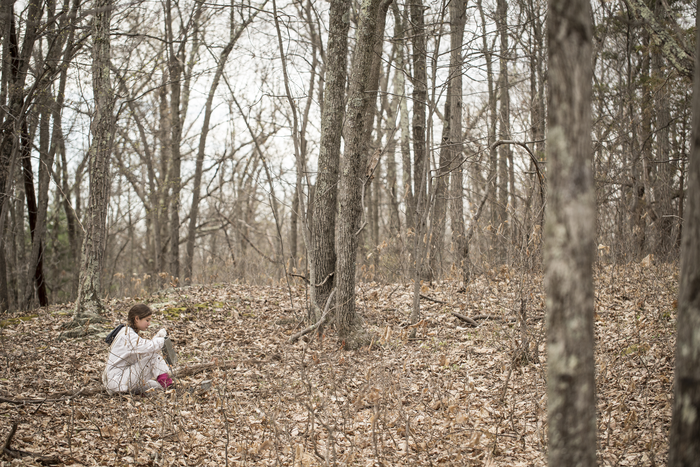 Monitoring mice on Cary Institute’s Millbrook, NY property