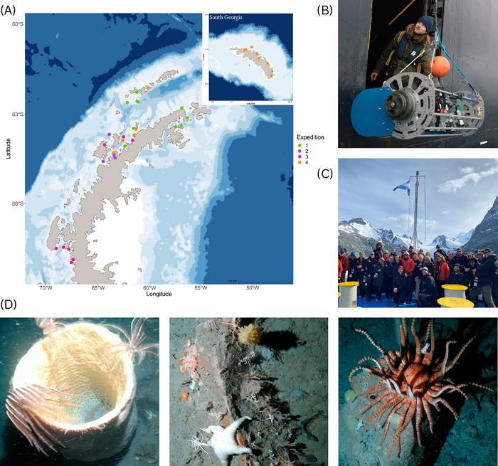 Antarctic researchers hitched a lift on a cruise ship, and recommend this eco-friendly, collaborative approach to remote ocean science