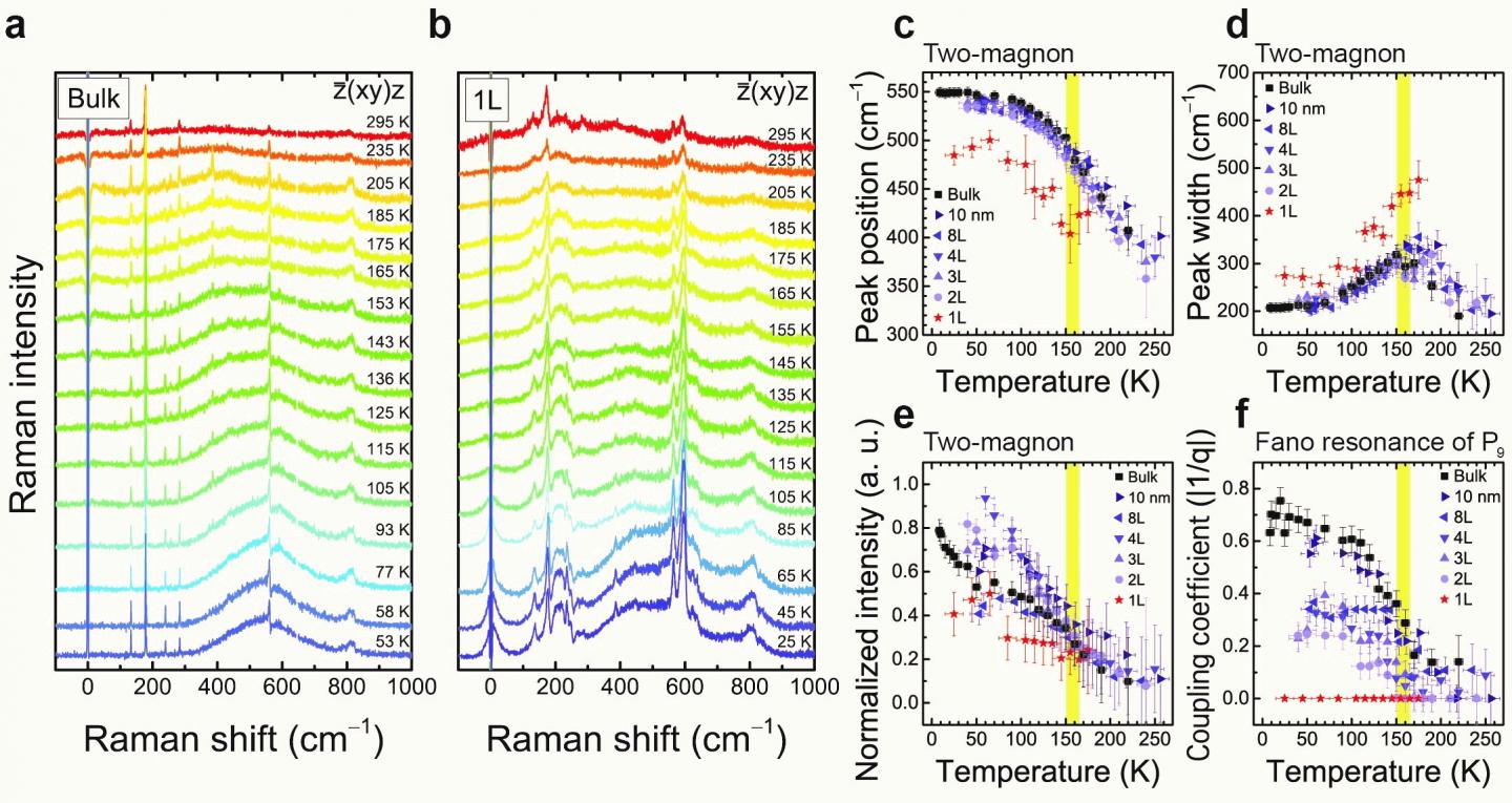 The Comparison between Bulk and Monolayer NiPS3 at Different Temperatures