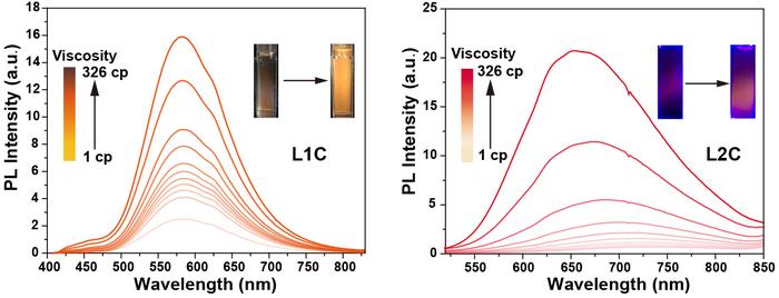 Alterations in the luminescence intensity of activatable phosphorescent probes following viscosity modifications