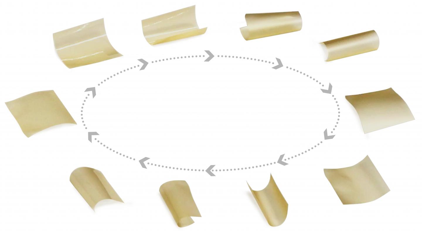 Pollen-Derived Paper Bends