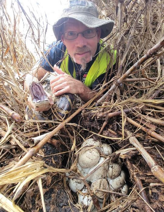 South Florida invasive species