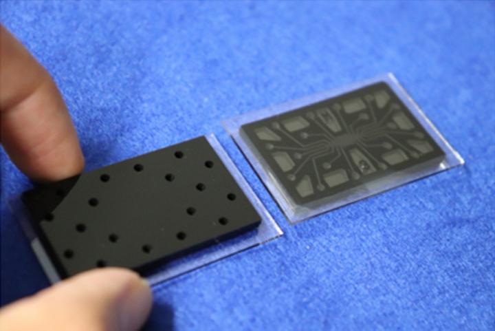 The Microfluidic Device