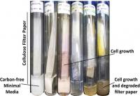 Cellulose Test Tubes