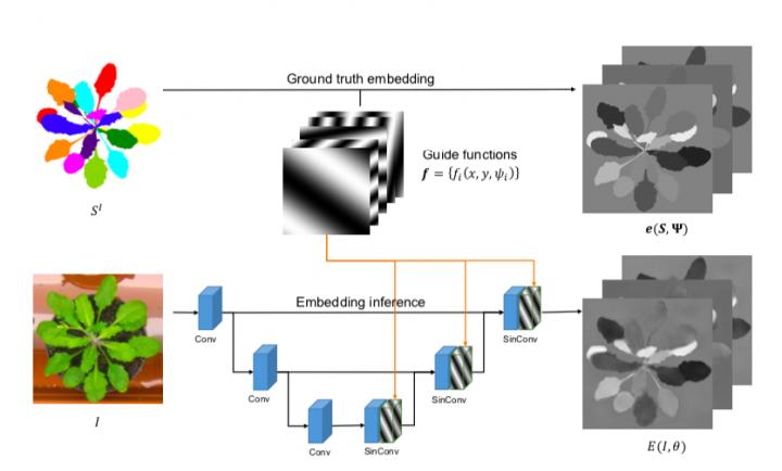 The harmonic instance segmentation framework