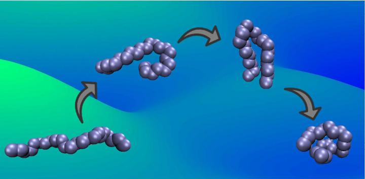 Ferguson Folding Protein