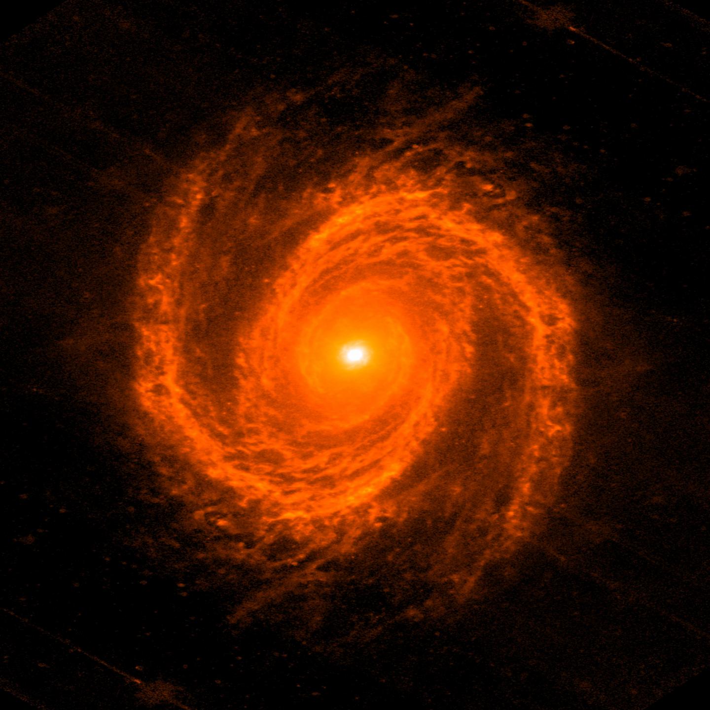 The 'Sab' Type Galaxy Messier 81