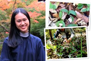 Scientists conducted a long-term study to evaluate the effects of El Niño on seasonally dry tropical forests.