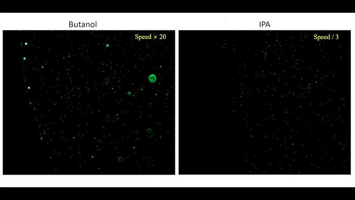 The real time movements of Butanol and Isopropyl alcohol (IPA) on a slide glass