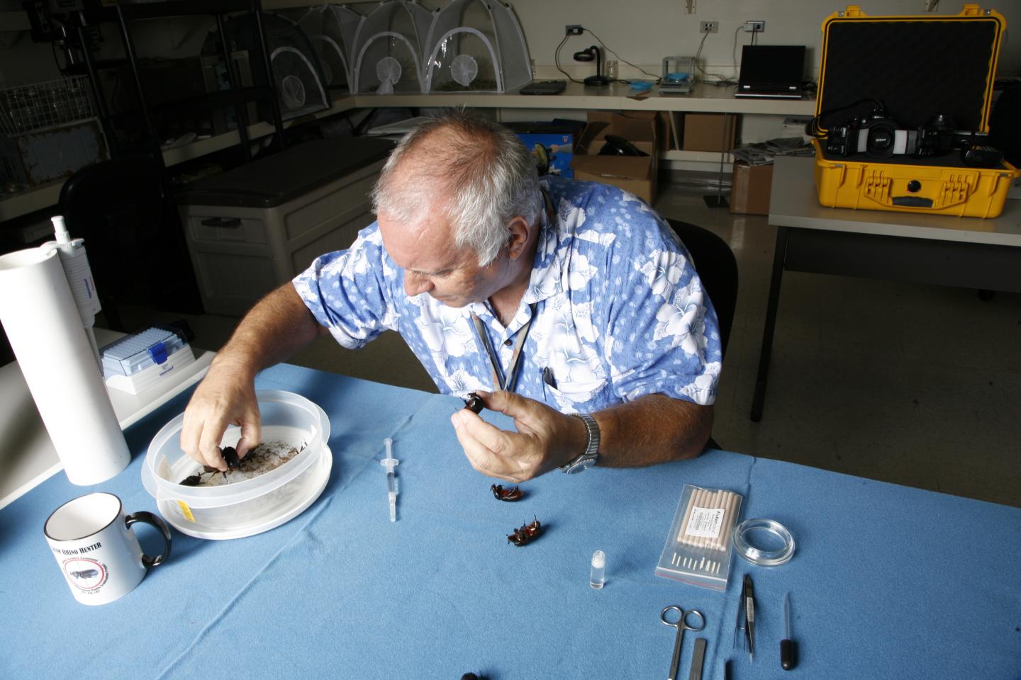 Aubrey Moore Feeds OrNV to CRBs